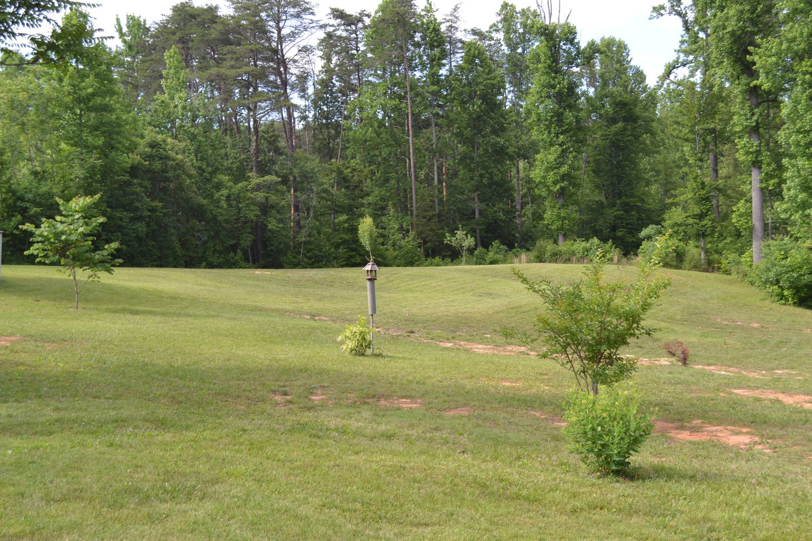 Brivity 7221 Dorothy Lane Spotsylvania, VA 22551 Virtual Tour