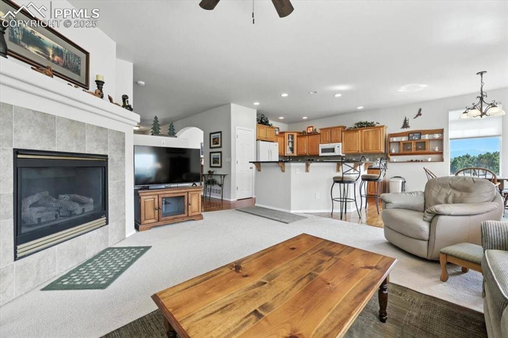 10091 Red Sage Drive Colorado Springs, CO 80920