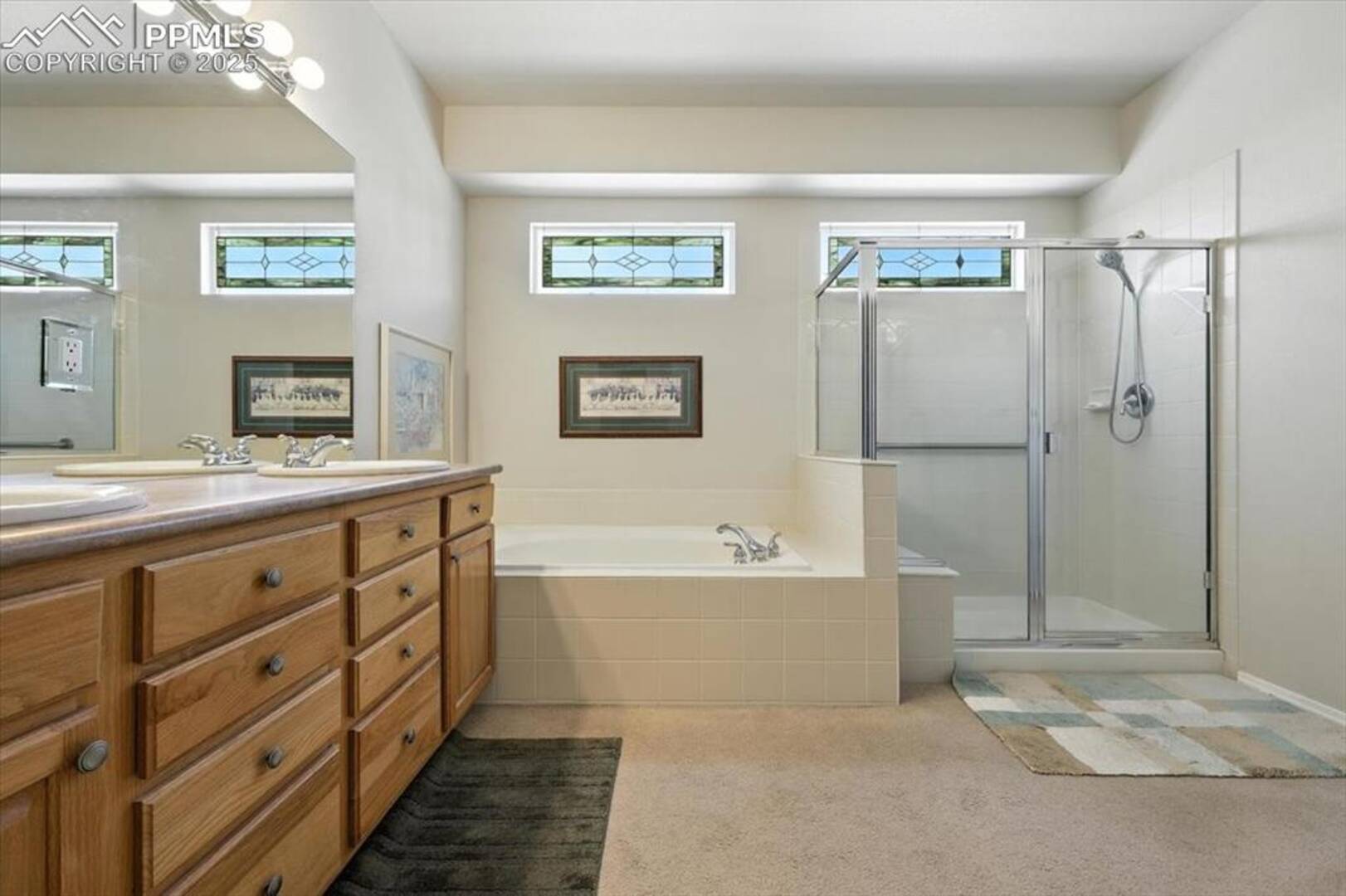 10091 Red Sage Drive Colorado Springs, CO 80920