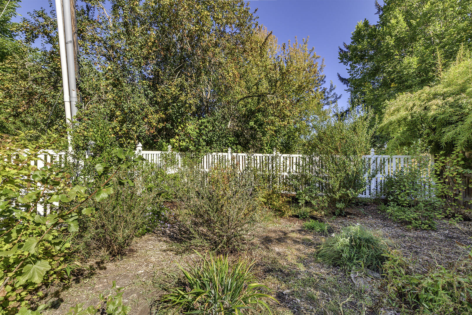 6675 NE Birch St Hillsboro, OR 97124