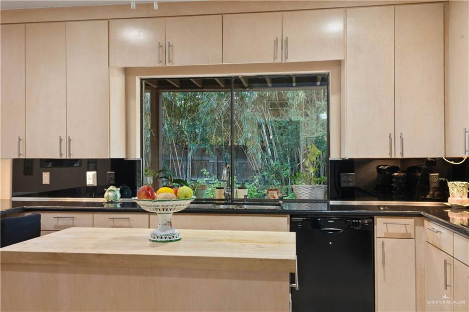 1113 Xanthisma Ave McAllen, TX 78504