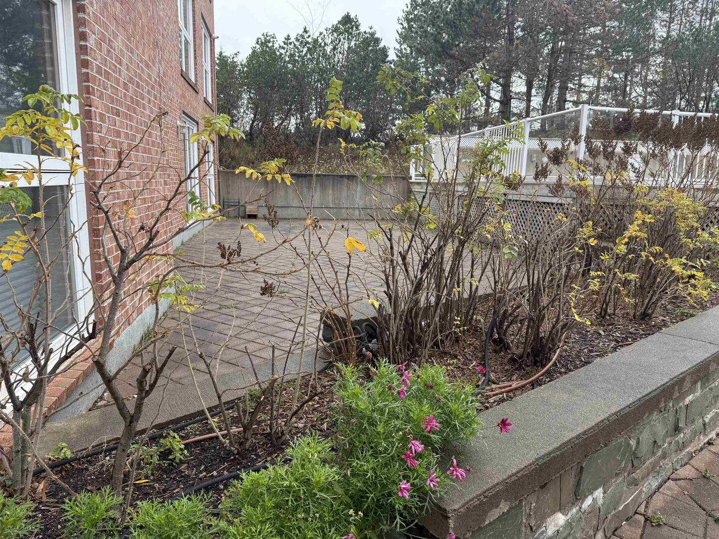 404 99 Waterfront Dr Bedford, NS B4A4K5