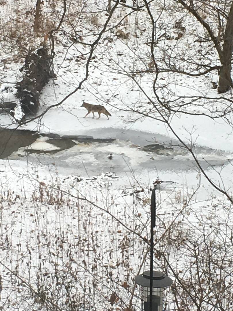 9825 Covington Blvd., Fishers, IN 46037