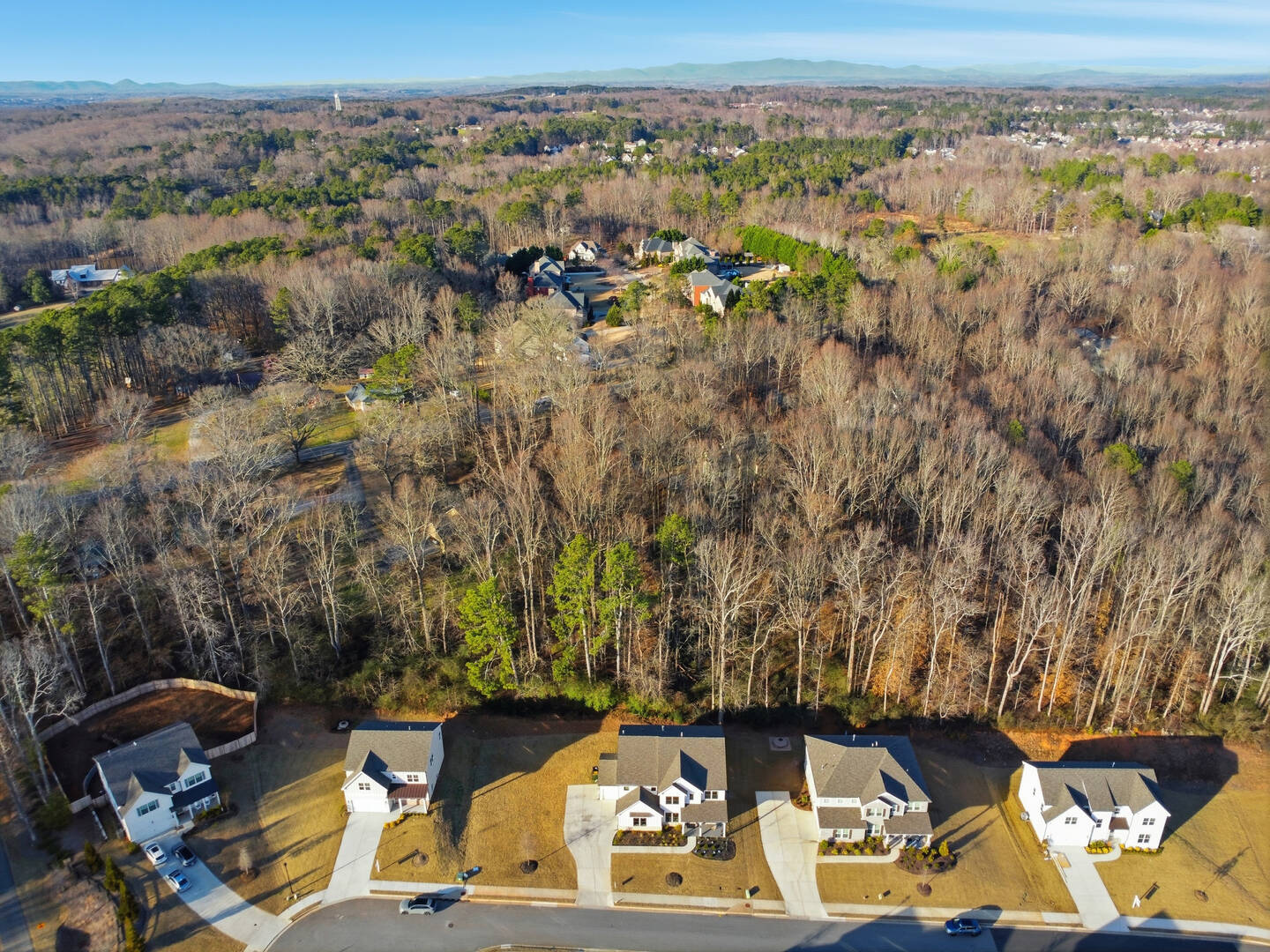 172 Aspen Hall Dr Canton, GA 30115