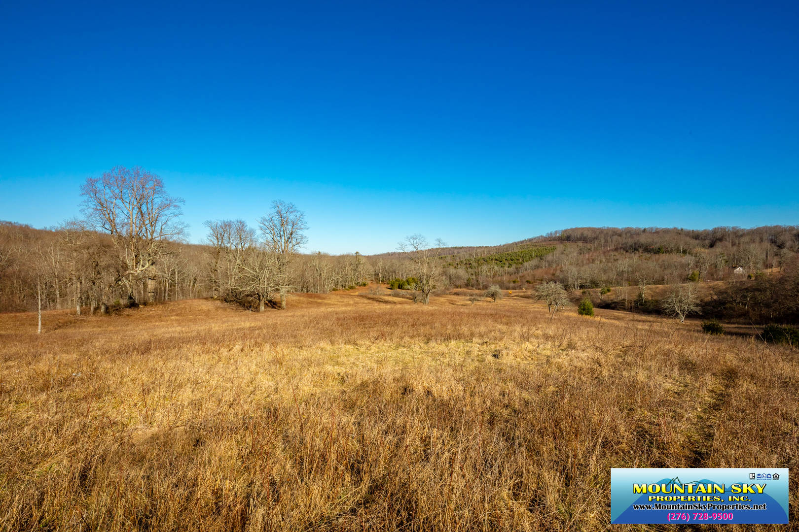 Brivity TBD Blue Ridge Parkway Fancy Gap, VA 24328 Virtual Tour