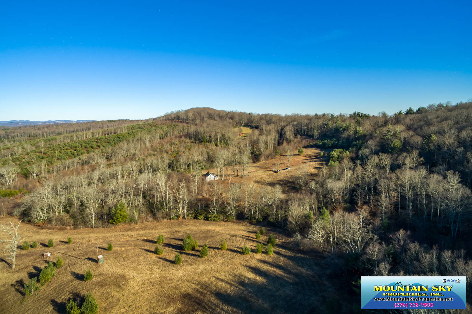 Brivity TBD Blue Ridge Parkway Fancy Gap, VA 24328 Virtual Tour