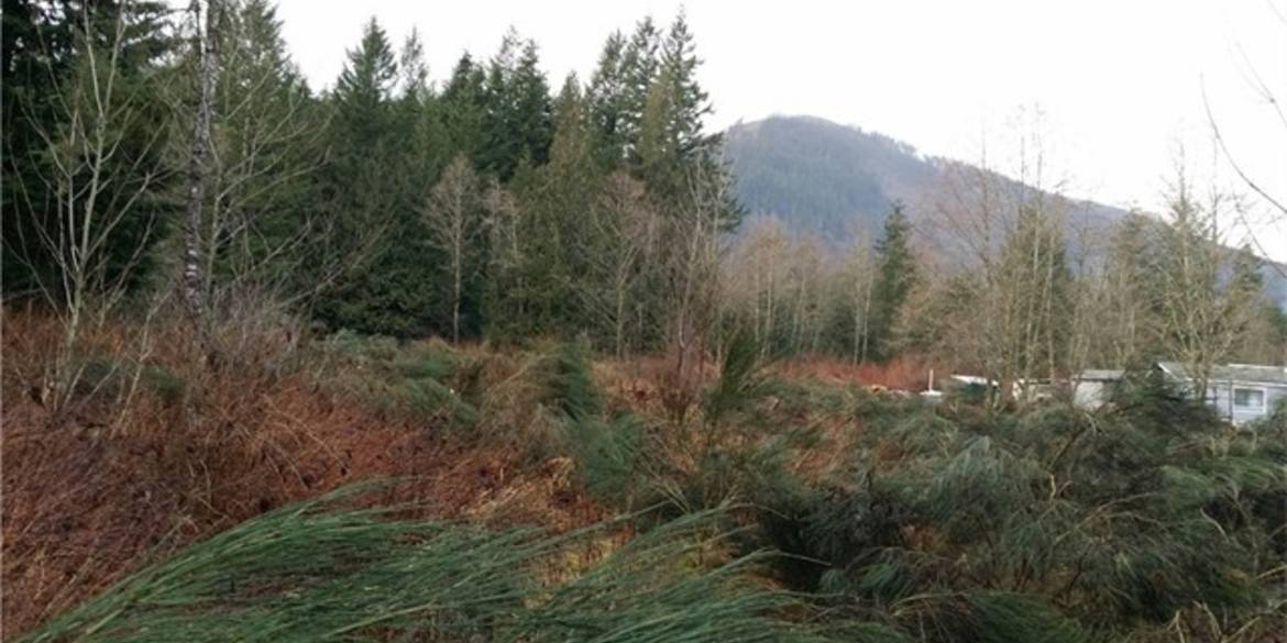 Brivity 7677 Casey Road Deming, WA 98244