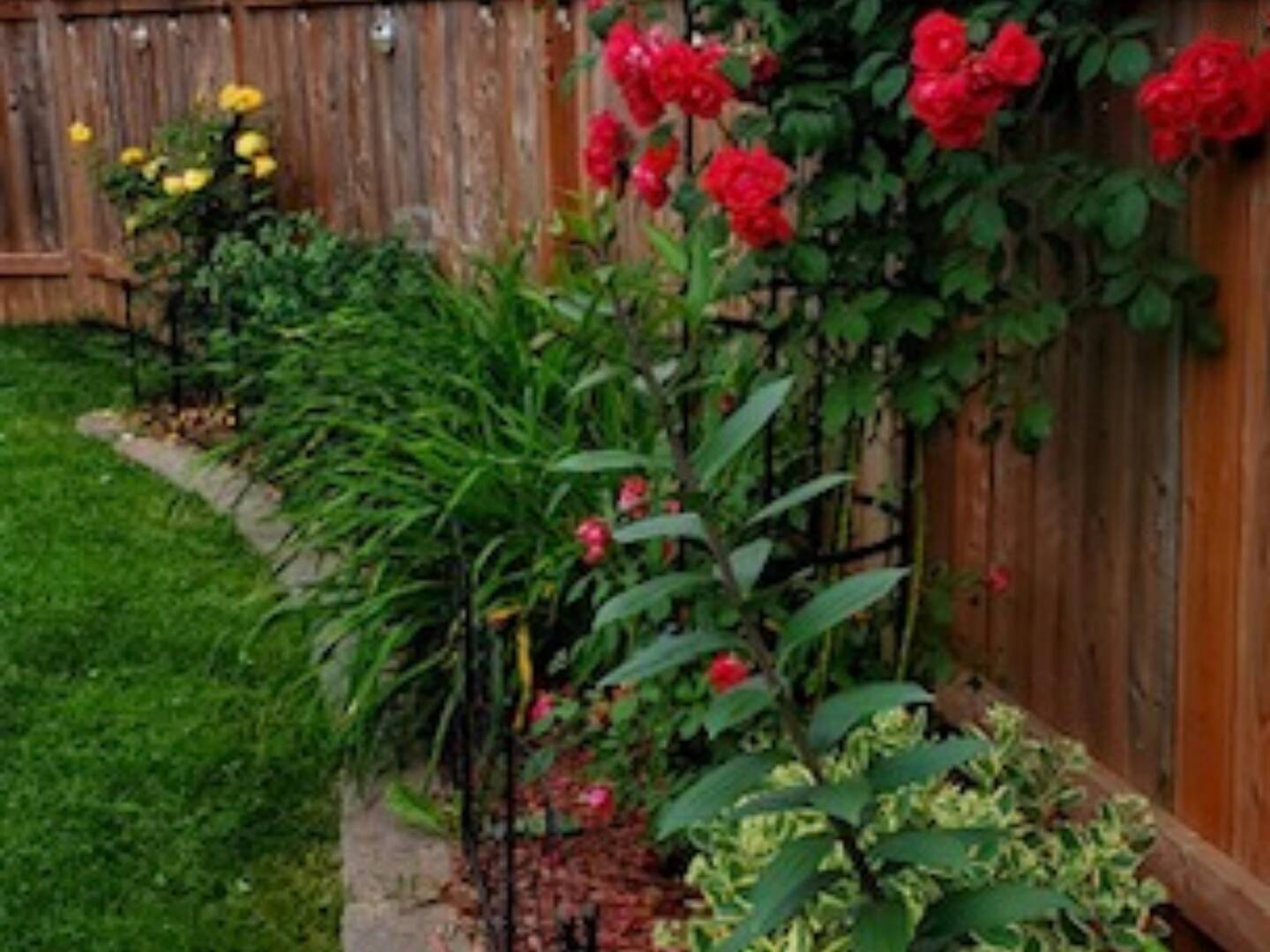 8 Wilson Ave Dartmouth, NS B2Y2B3