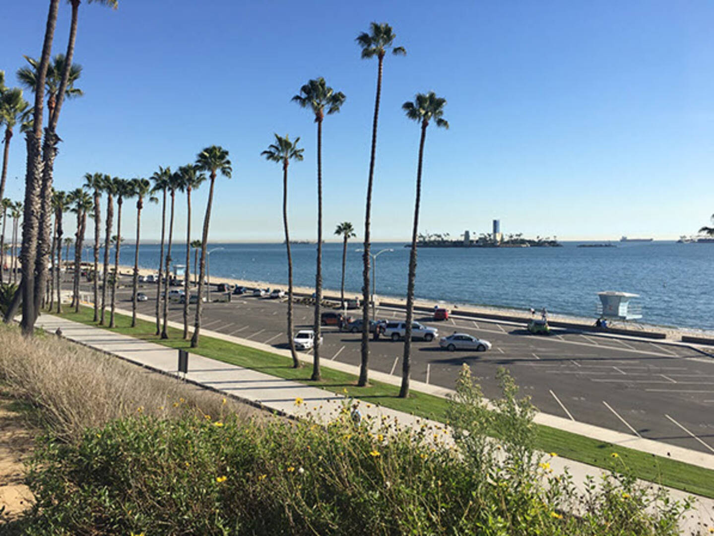 2101 E 2nd St Unit 305 Long Beach, CA 90803