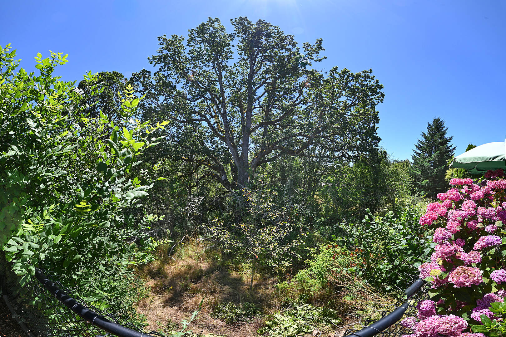 16726 NW Vetter Dr Portland, OR 97229