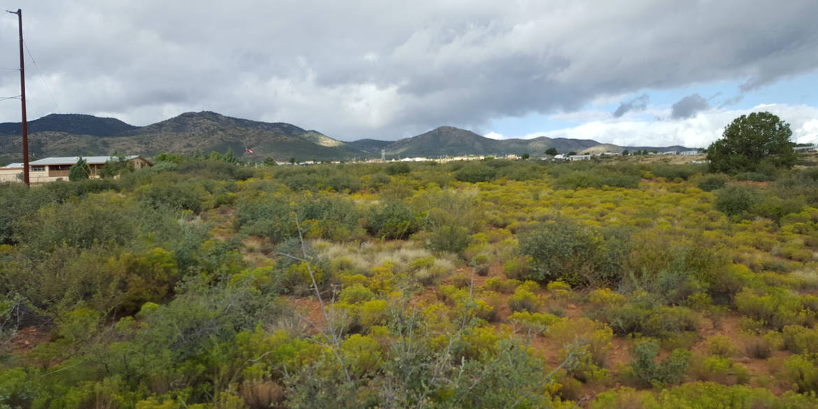 Brivity 10214 E Powerline Road Dewey, AZ 86327