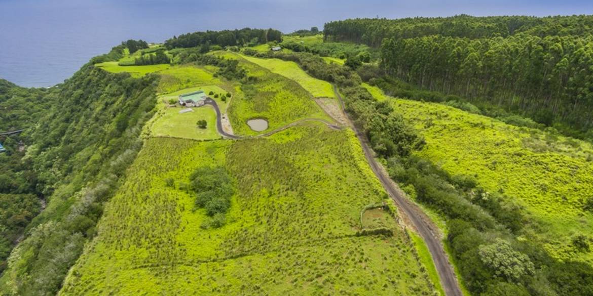 Brivity Beverly M • 341156 Honomainoa Rd, Papaaloa, HI 96780