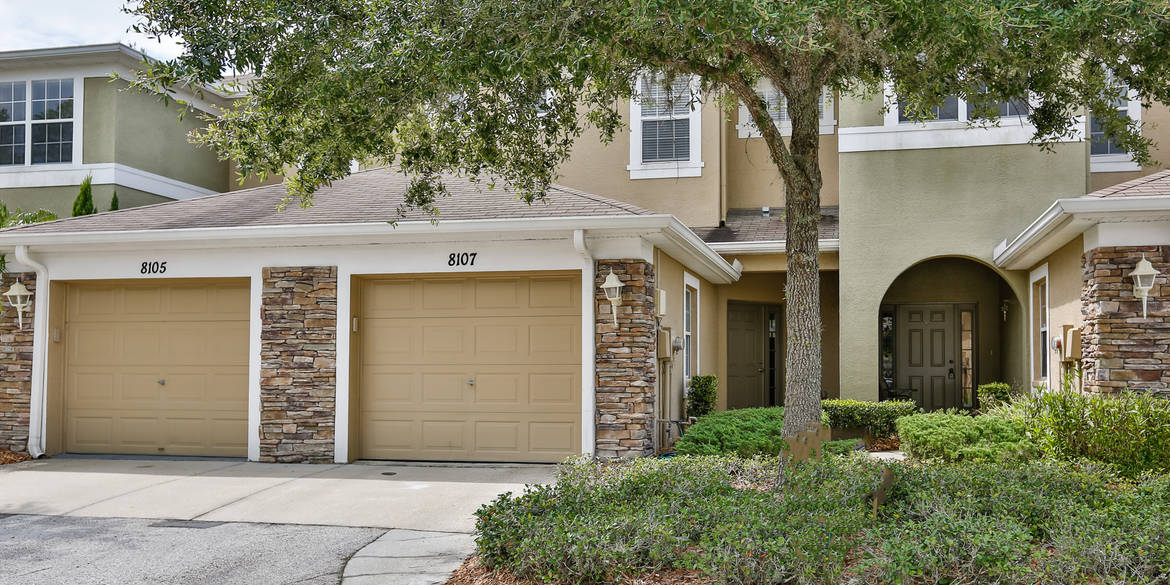 Brivity 8107 Stone Leaf Lane Tampa, FL 33647