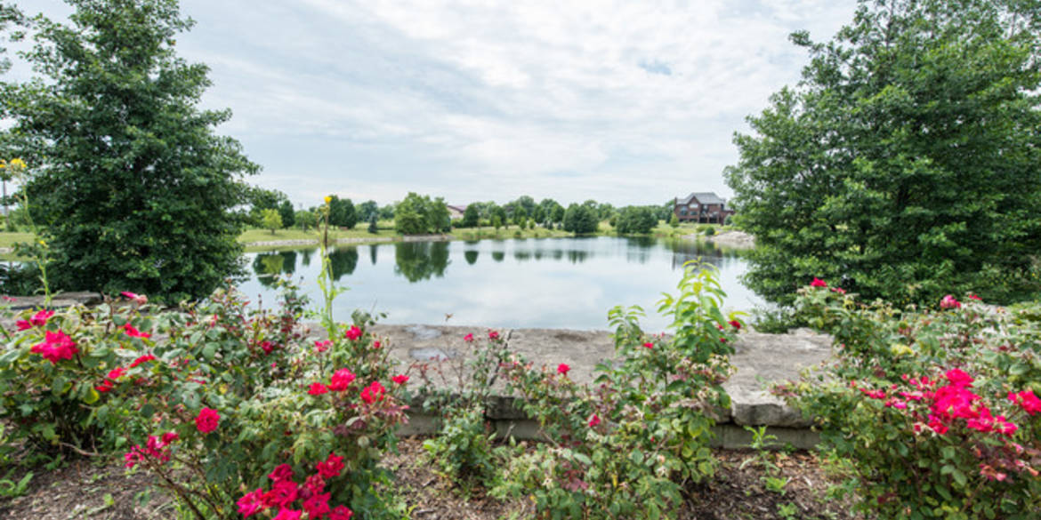 Brivity 16212 Syd Creek Dr Homer Glen, IL 60491