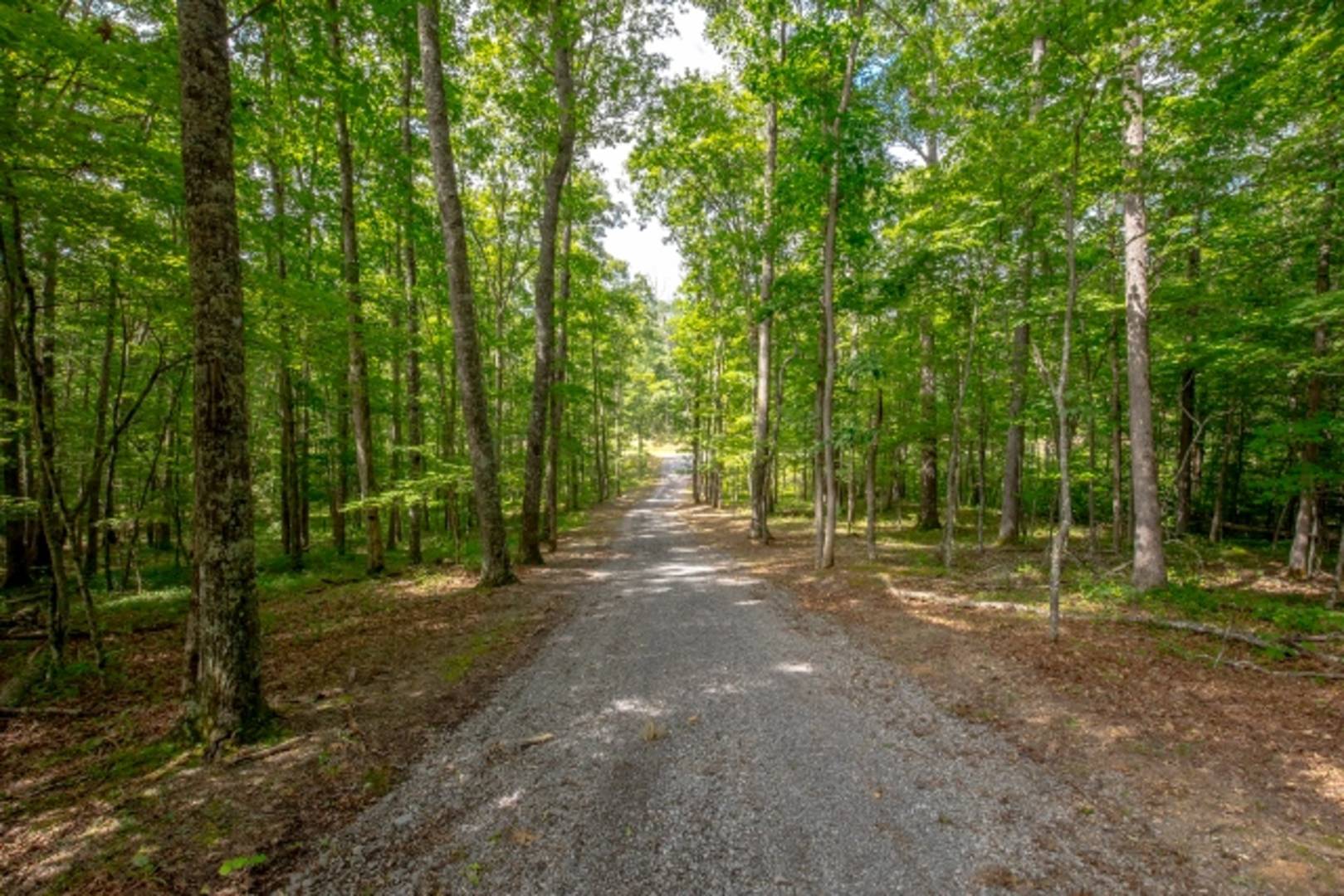 Brivity 1794 Cove Creek Road Bastian, VA 24314 Virtual Tour