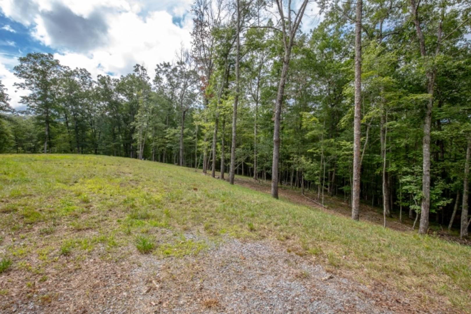 Brivity 1794 Cove Creek Road Bastian, VA 24314 Virtual Tour