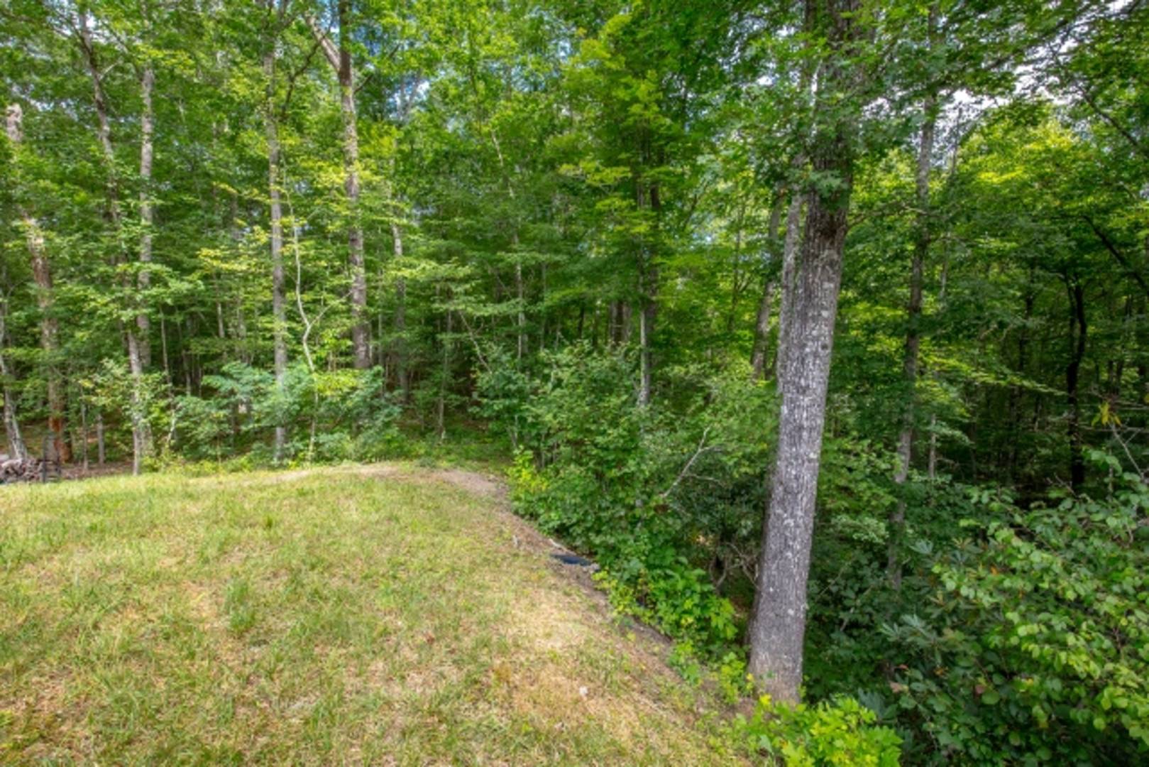 Brivity 1794 Cove Creek Road Bastian, VA 24314 Virtual Tour