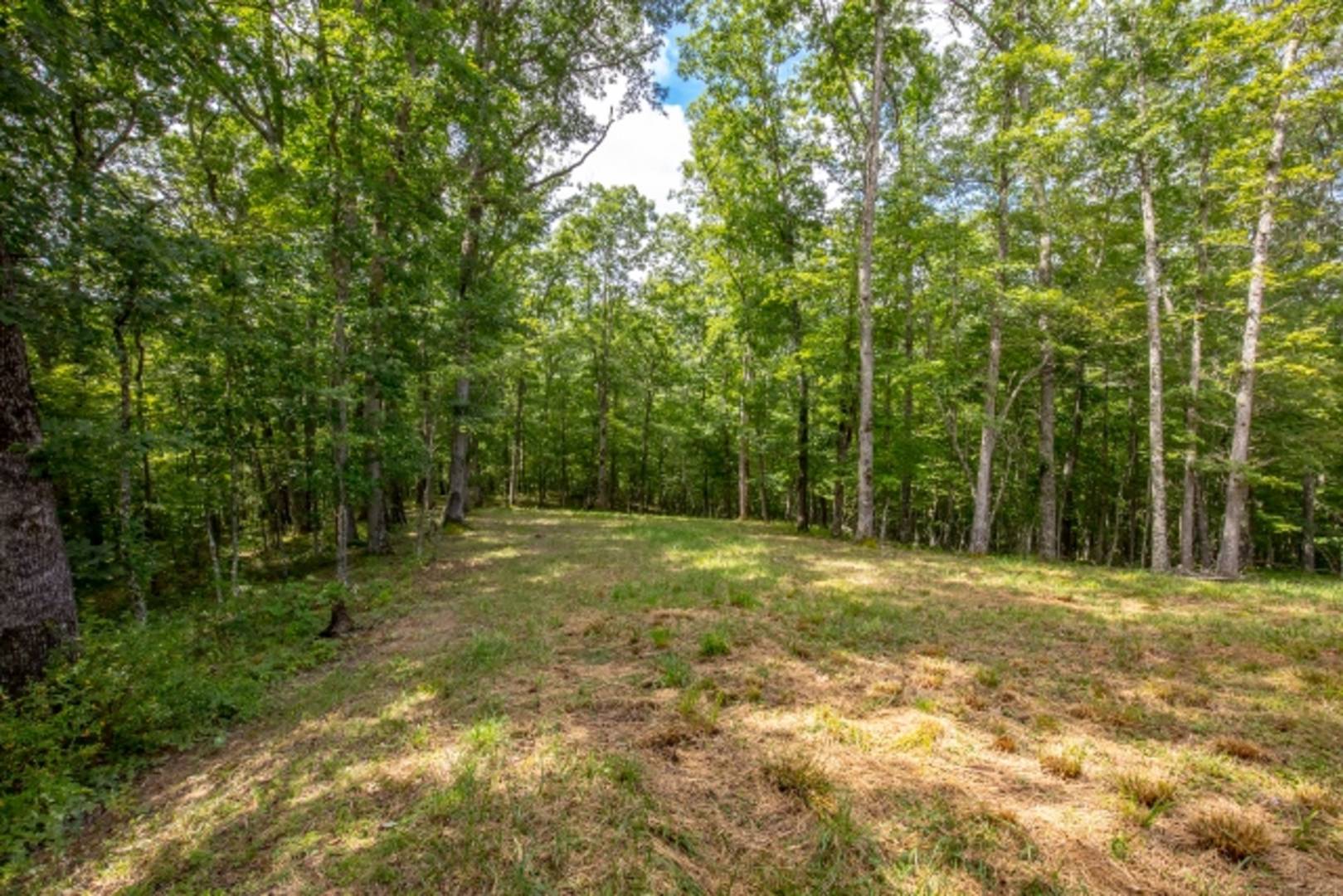 Brivity 1794 Cove Creek Road Bastian, VA 24314 Virtual Tour