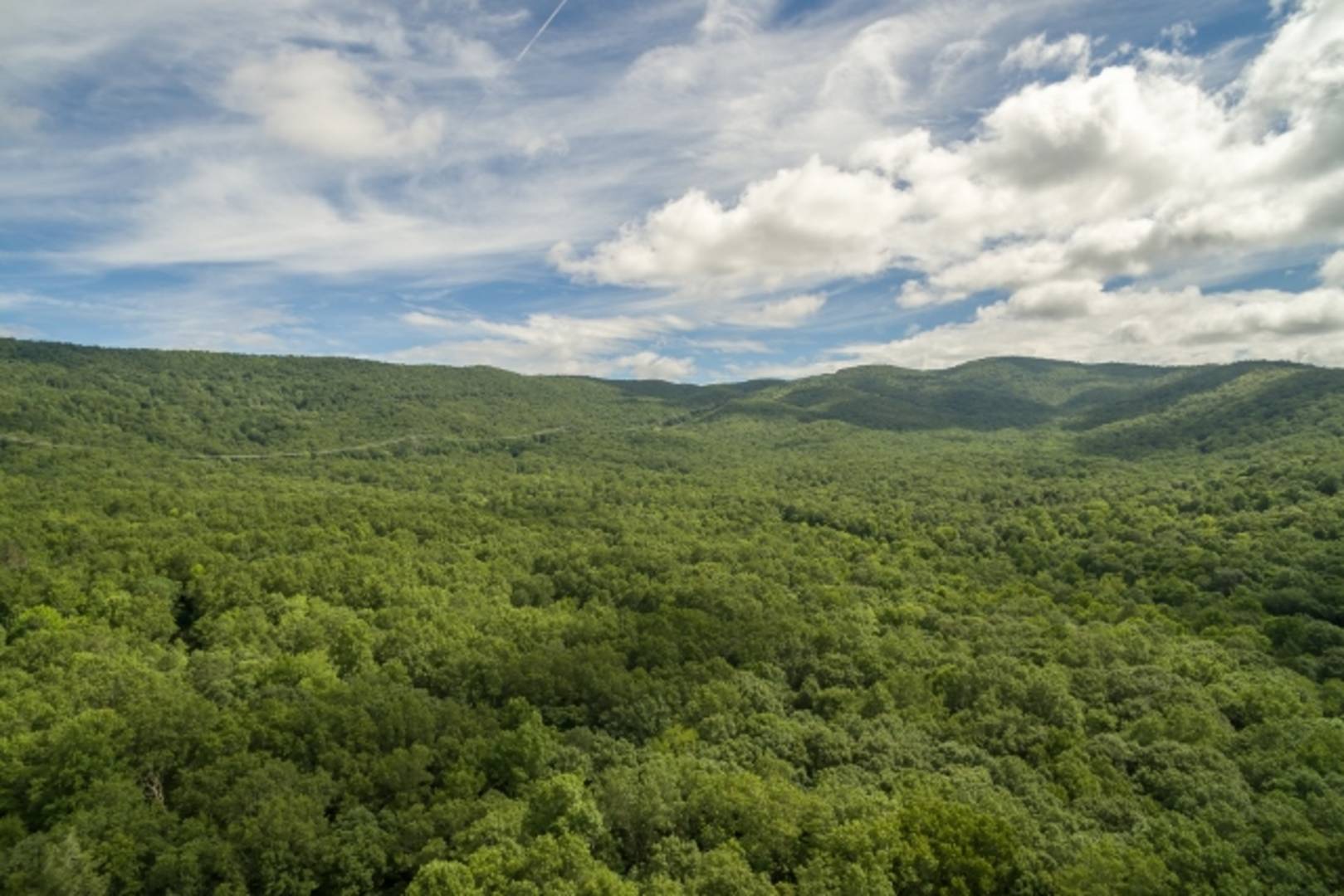 Brivity 1794 Cove Creek Road Bastian, VA 24314 Virtual Tour