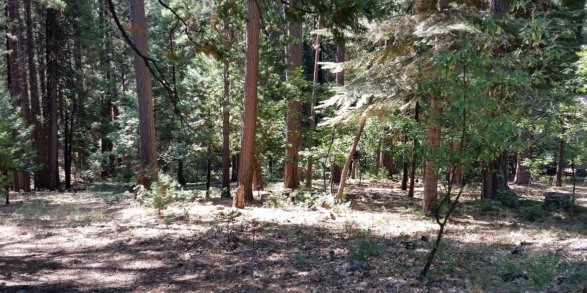 Brivity 1426 Lilac Drive 112 Arnold, CA 95223