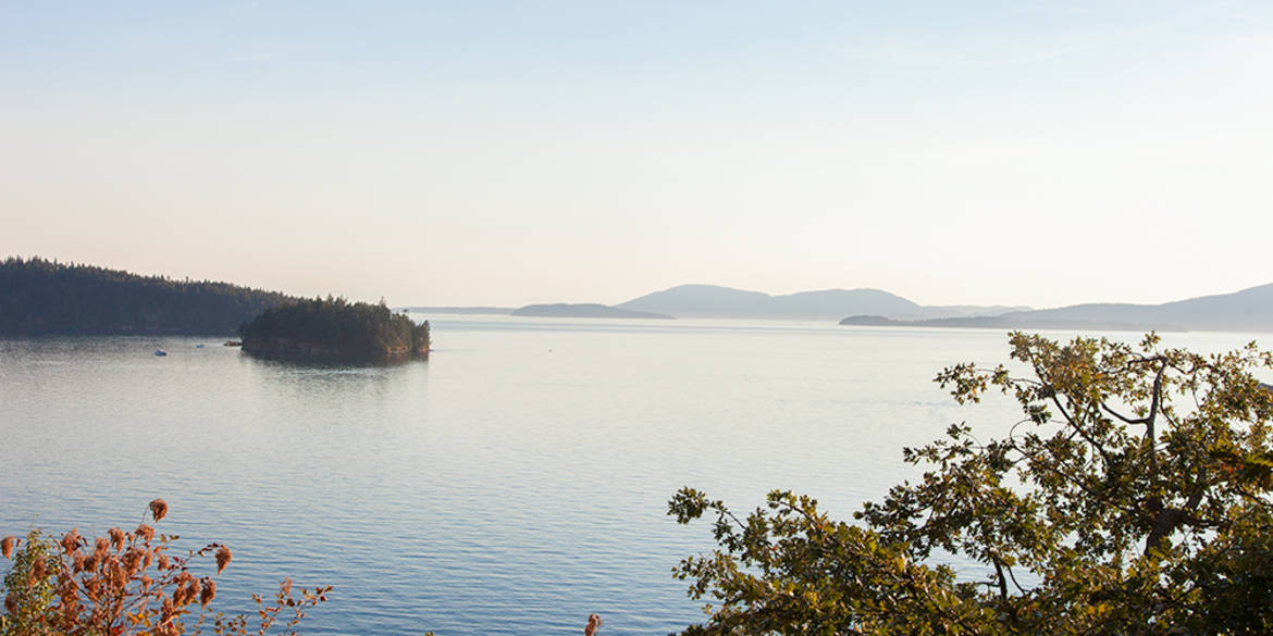 Brivity 1279 Chuckanut Drive Bellingham, WA 98229