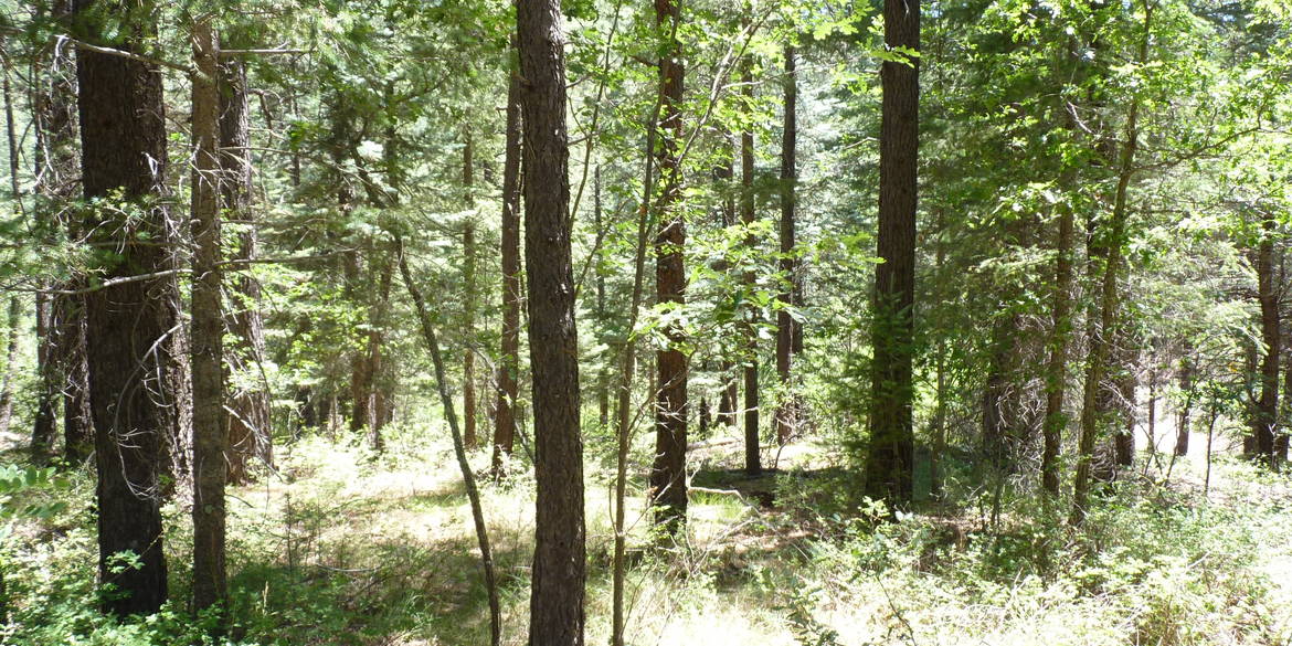 Brivity 24xxE Walker Rd Prescott, AZ 86303