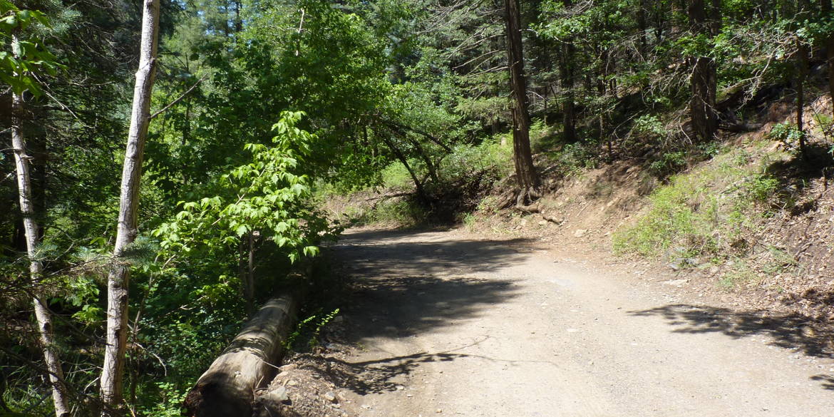 Brivity 24xxC E Walker Road Prescott, AZ 86303