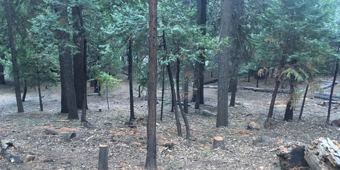 Brivity 1832 Sierra Parkway Dorrington , CA 95223