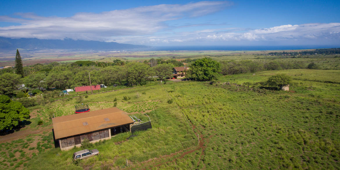 Brivity Riette Jenkins • 2778 Omaopio Road Kula, HI 96790