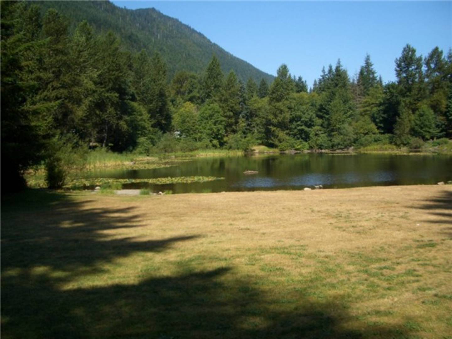 Brivity 16821 426th Place SE North Bend, WA 98045 Virtual Tour