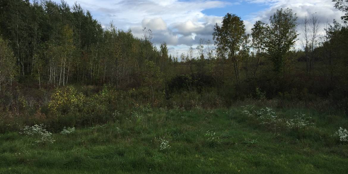 Brivity Lots in St. Croix County , WI