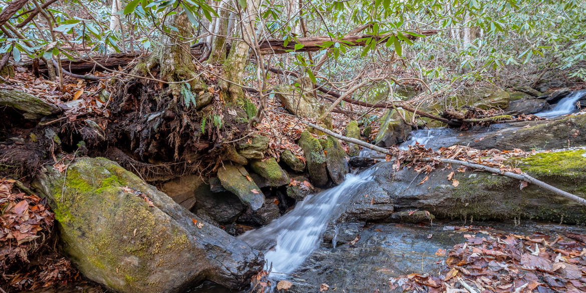 Brivity TBD Wards Gap Rd Fancy Gap, VA 24328