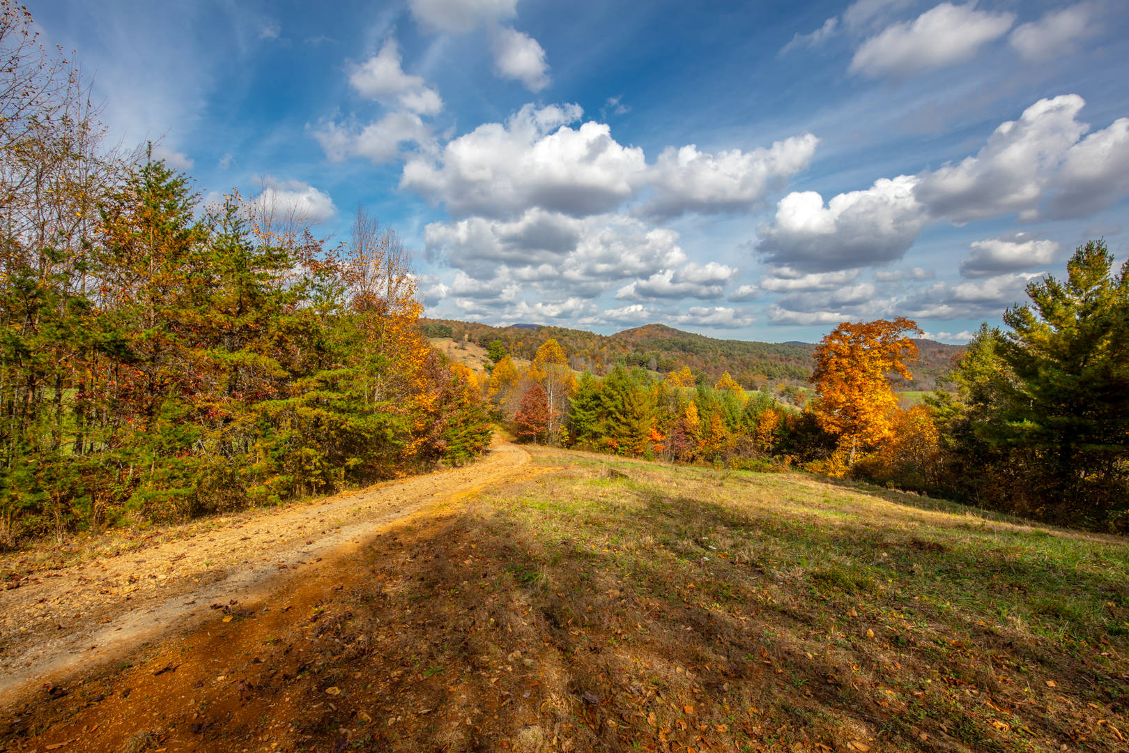 Brivity TBD High Mountain Trail Laurel Fork, VA 24352 Virtual Tour