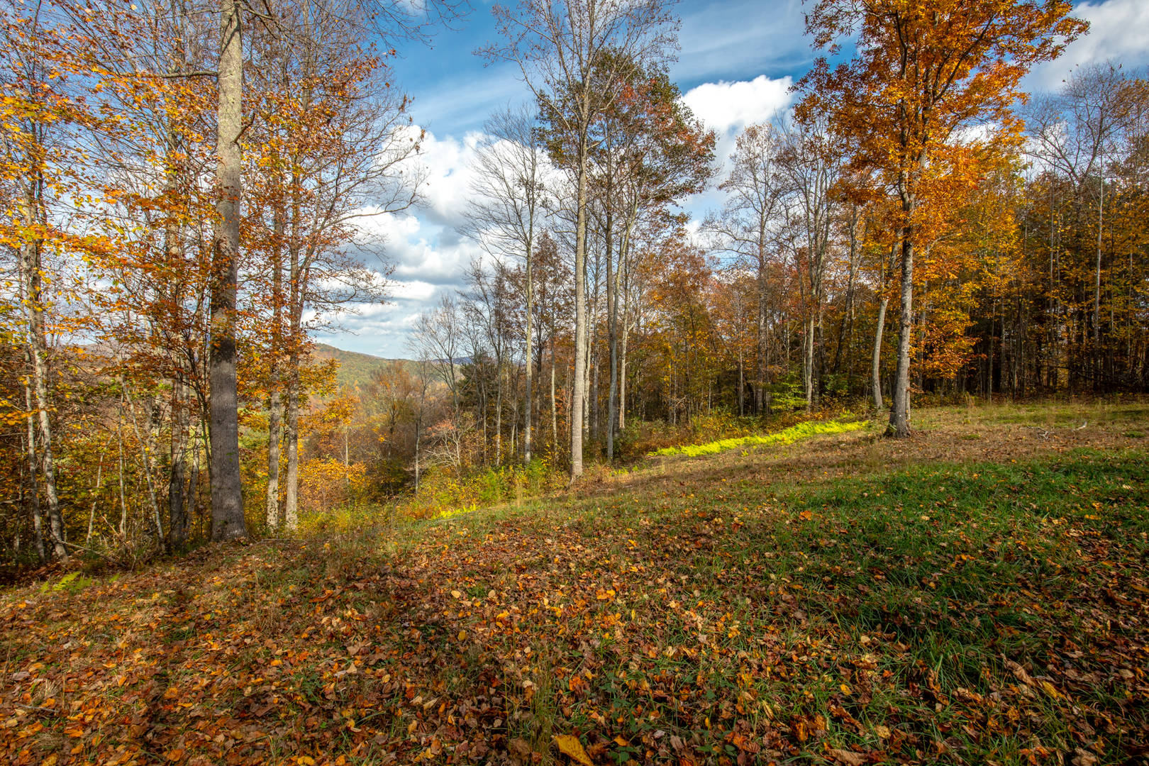 Brivity TBD High Mountain Trail Laurel Fork, VA 24352 Virtual Tour