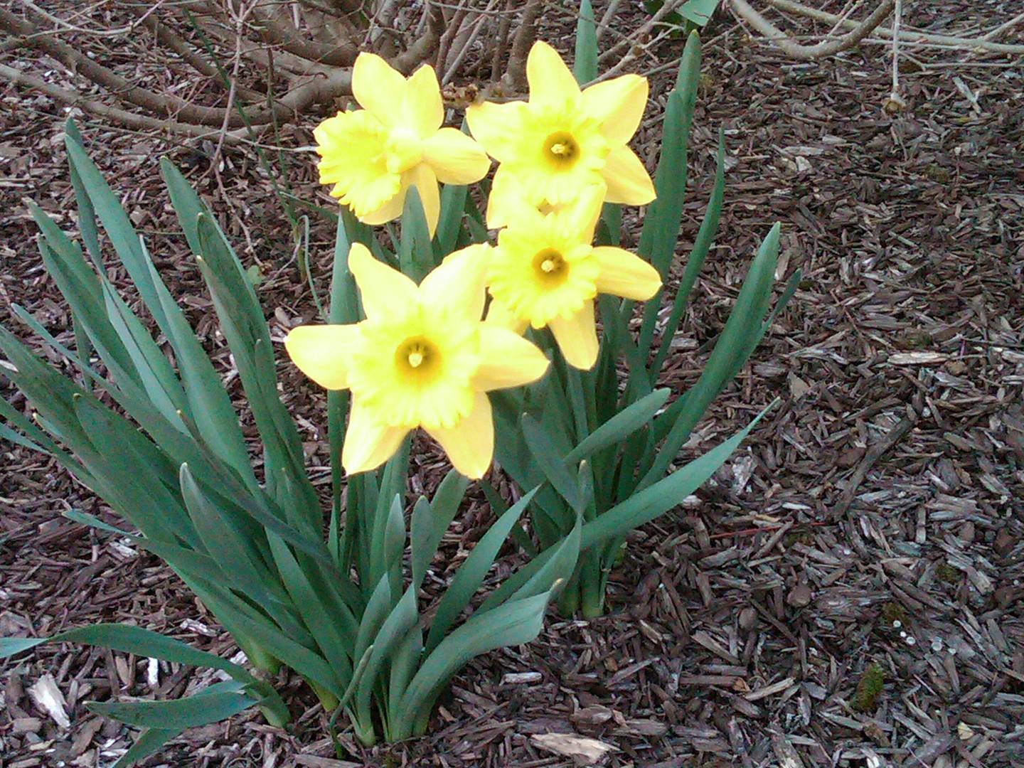 Brivity 196 Clover Lane Perkiomenville, PA 18074 Virtual Tour