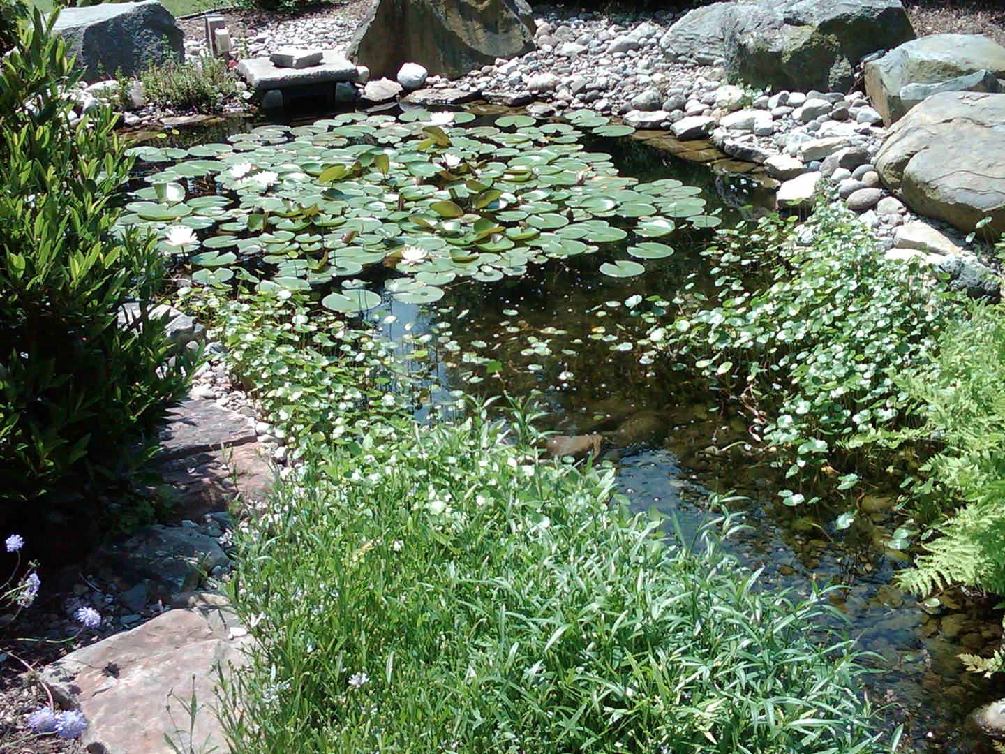 Brivity 196 Clover Lane Perkiomenville, PA 18074 Virtual Tour