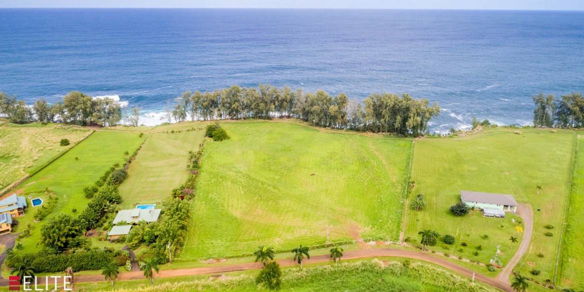 Brivity Dylan Shropshire • Lot 13 Pepeekeo Point Subdivision