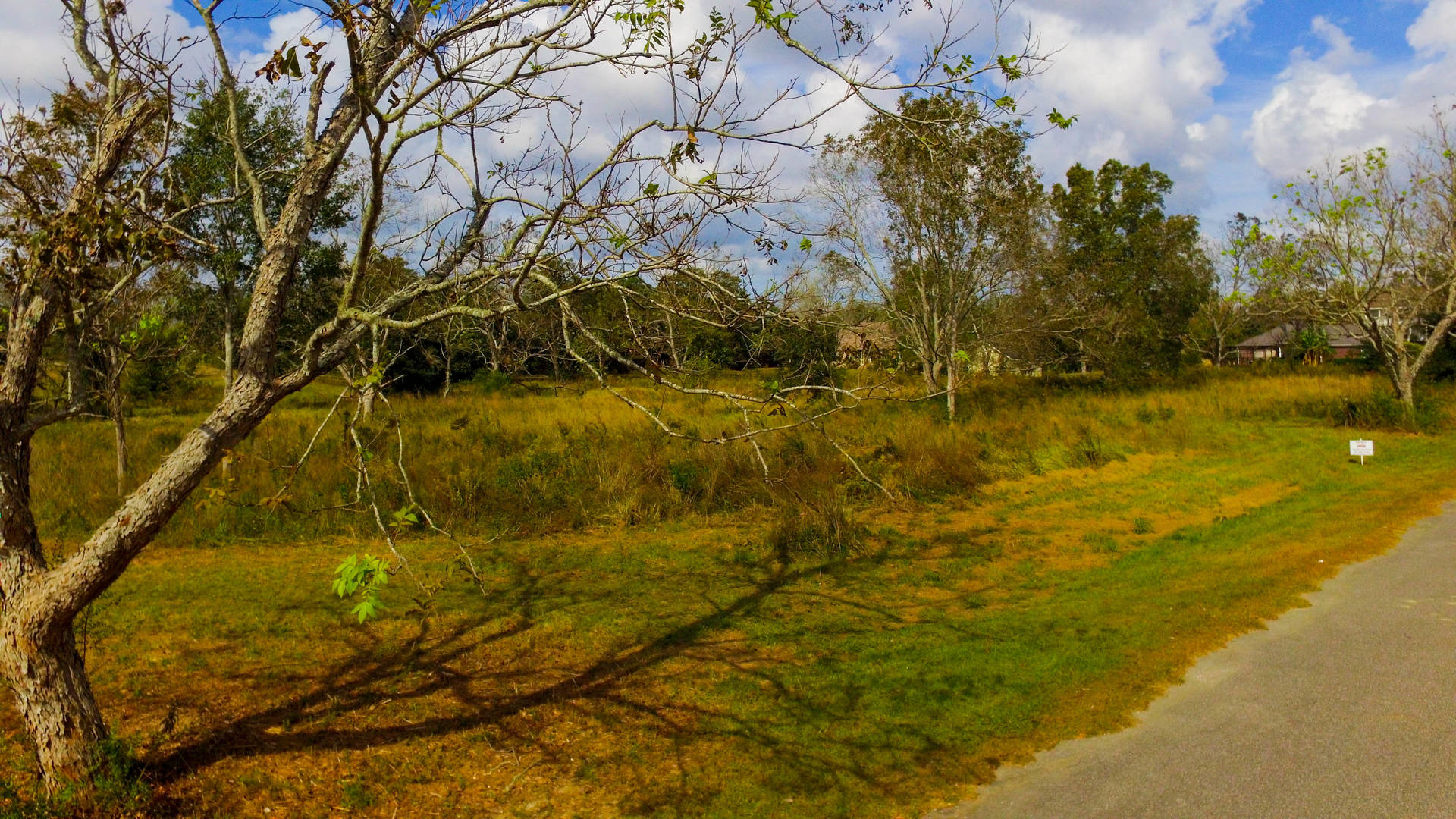 Brivity 0 Pecan Lane Fairhope, AL 36532 Virtual Tour