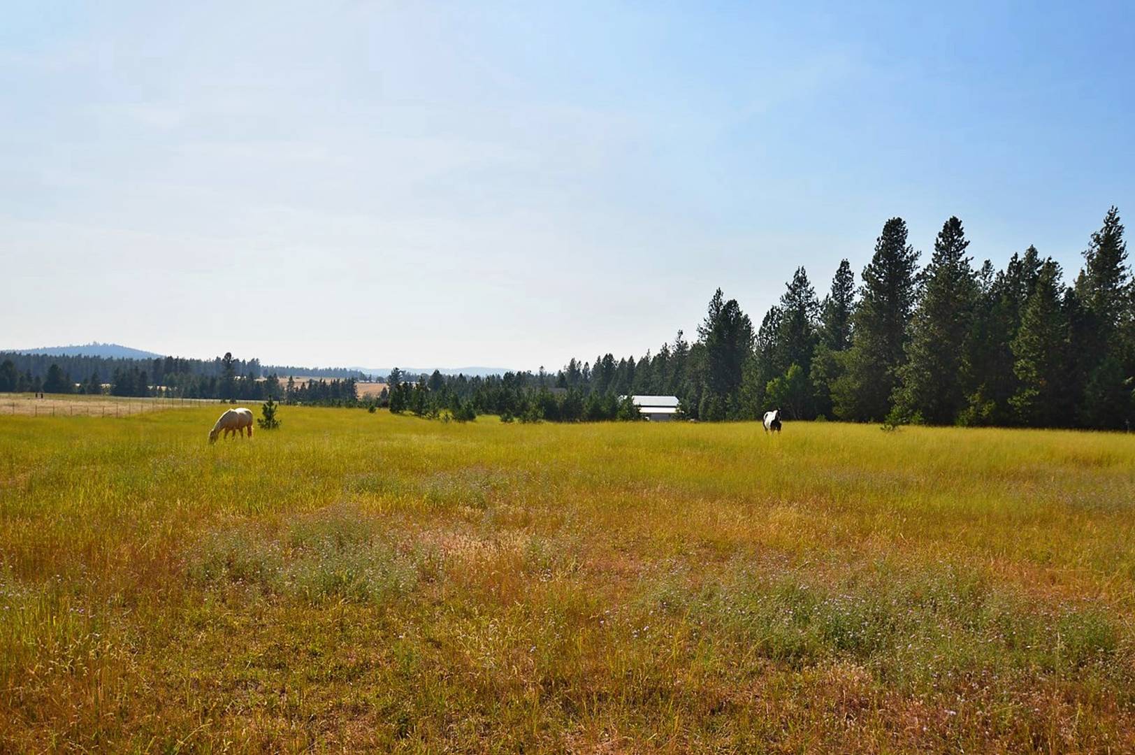 Brivity 23407 N Hatch Rd Colbert, WA 99005 Virtual Tour