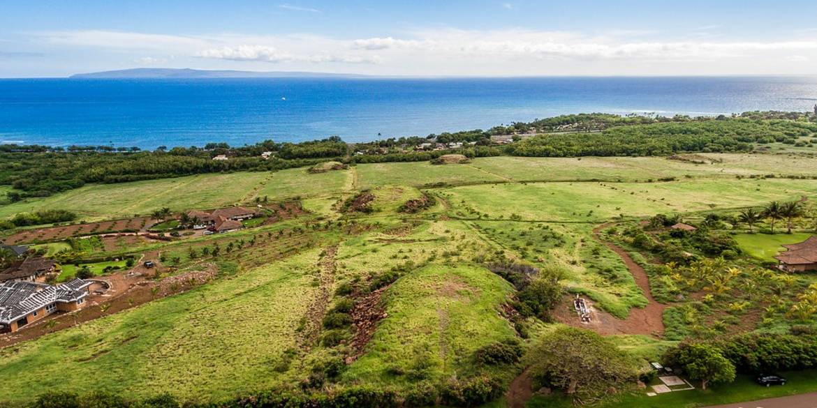 Brivity Debbie Arakaki • 295 Luawai Street Lahaina, HI 96761