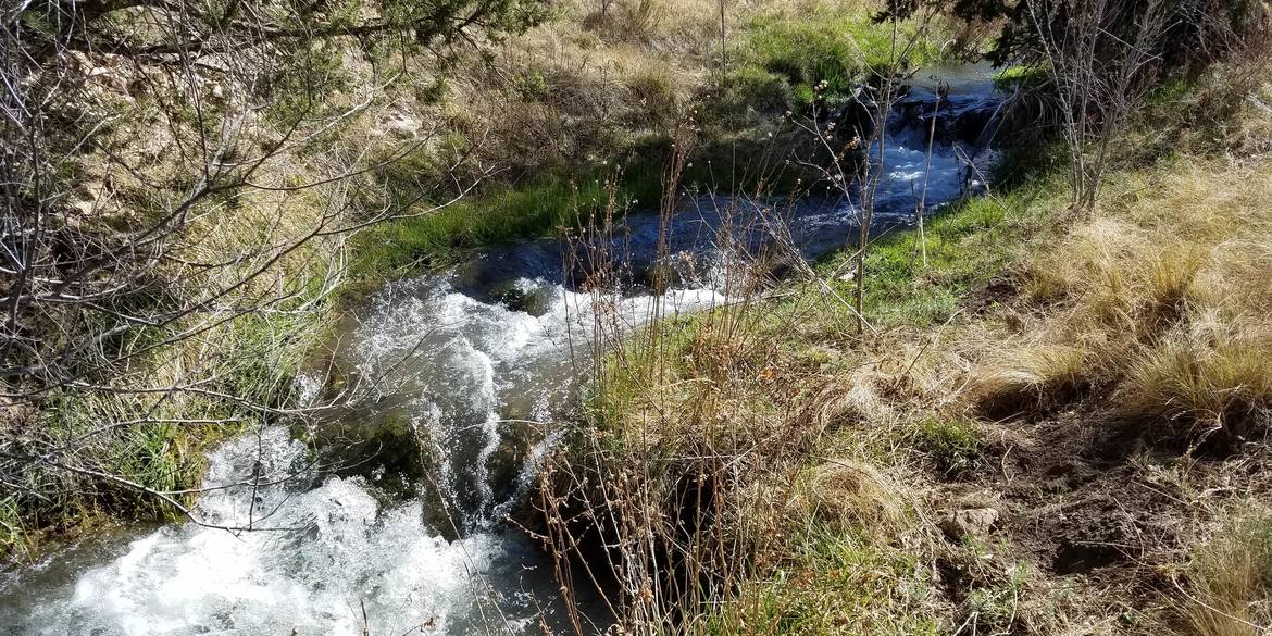 Brivity US 82 Mayhill, NM 88339