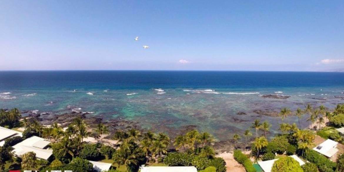 Brivity Annie Mendoza • 691735 Puako Beach Drive Kamuela, HI 96743