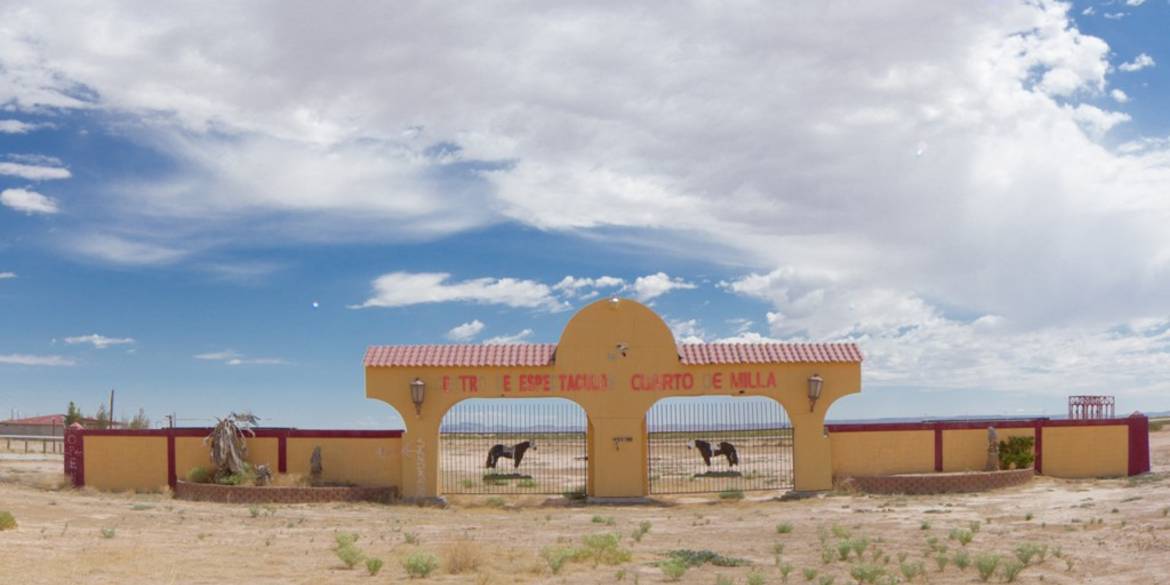 Brivity 14681 QUARTER HORSE Clint, TX 79836