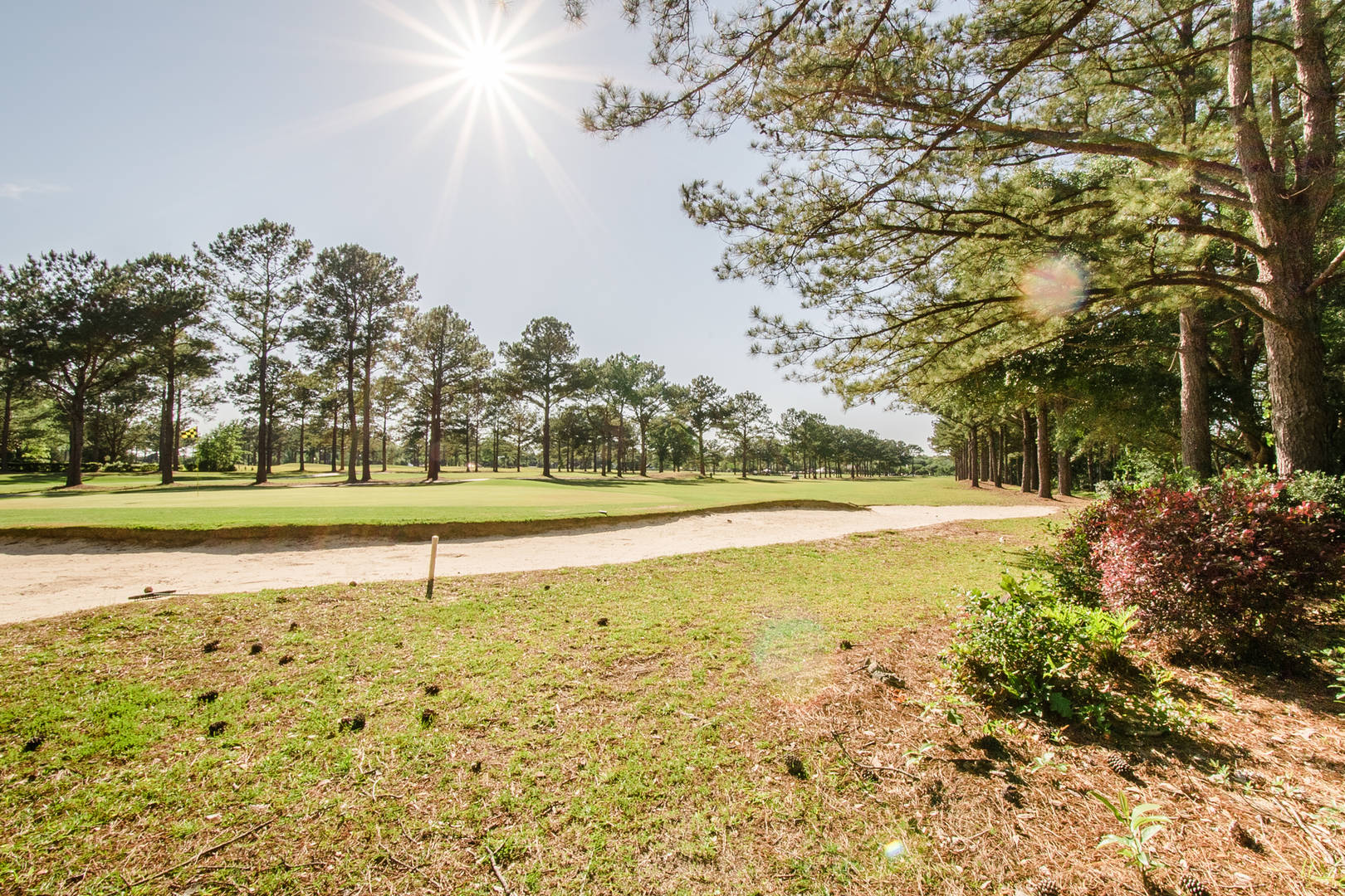 Brivity 19707 Quail Creek Drive Fairhope, AL 36532 Virtual Tour