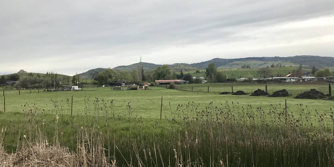 Brivity 834 W Valley View Rd. Ashland OR Ashland, OR 97520