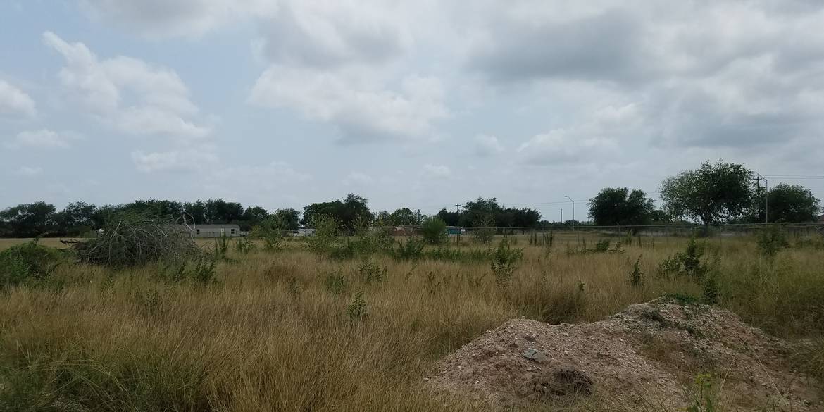 Brivity 1236 S. Val Verde Road Donna, TX 78537