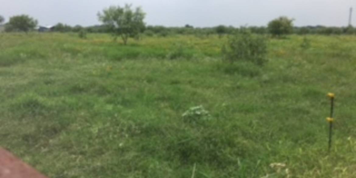 Brivity 13200A FM 1346 Saint Hedwig, TX 78152