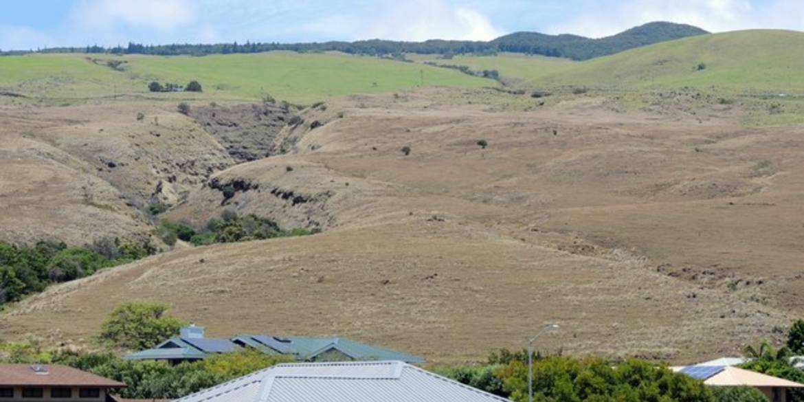 Brivity Lori Owens, Jacobson Team • Lot 20; S. Kohala View Estates Kamuela, HI 96743