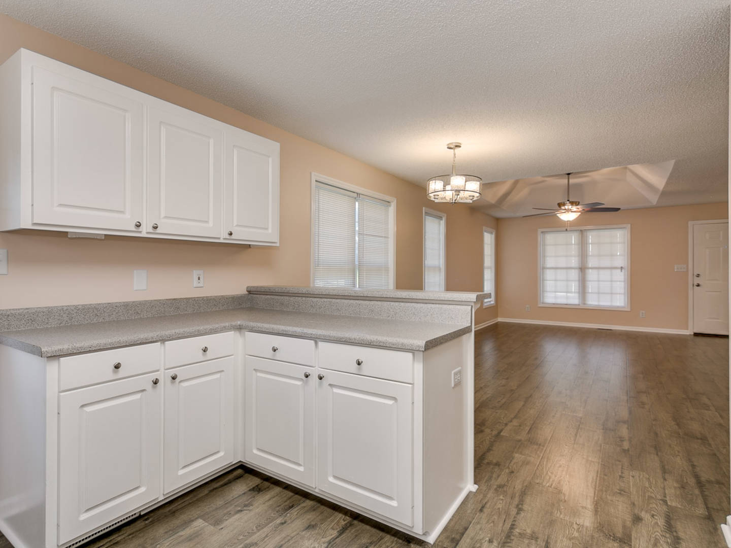 Brivity 405 Cardoon Court Spartanburg SC 29303 Virtual Tour