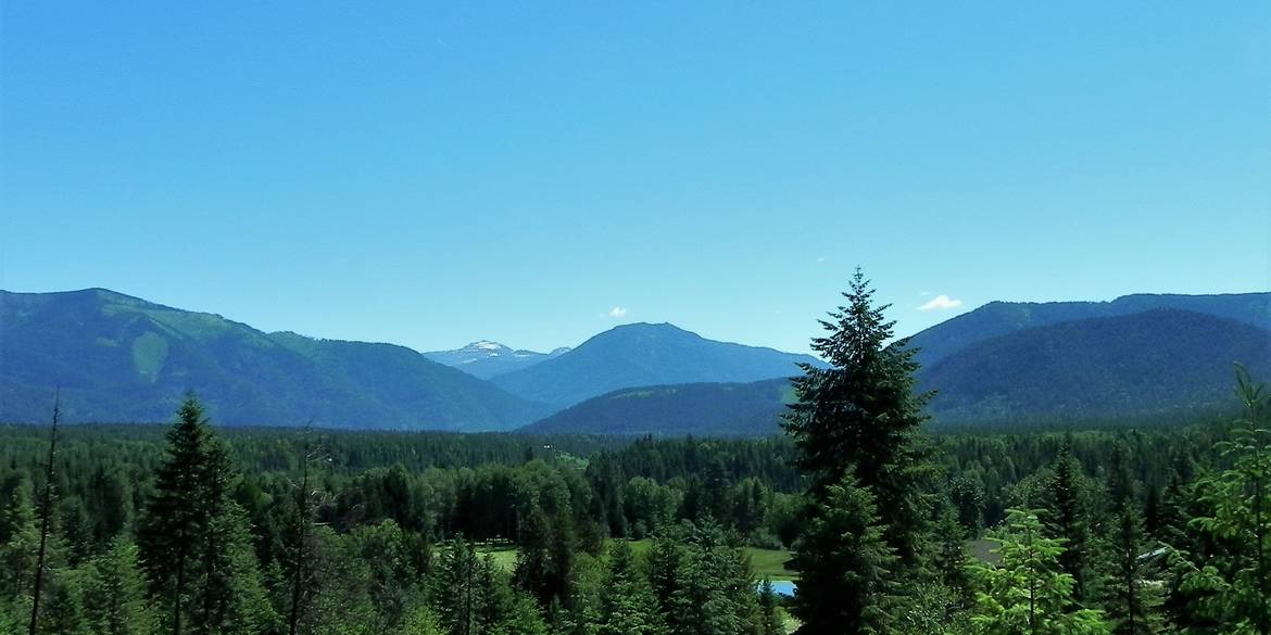 Brivity NHN Elk Creek Road Heron, MT 59844